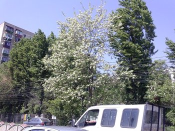 salcam2013mai3.jpg
