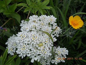 rsz_dscn0904.jpg