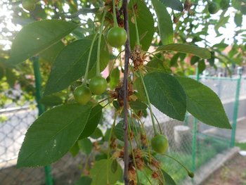 DSCN1949.jpg