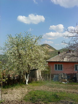DSC00685_resize.JPG