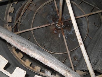 DSCN8820 (Large).JPG