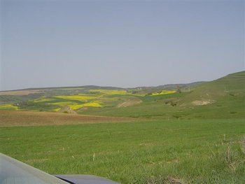 DSC00038 (Small).JPG
