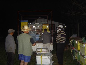 DSC00006 (Small).JPG