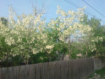 IMG_2013050710478.jpg