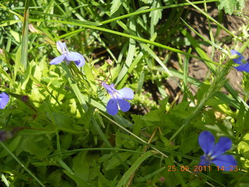 rsz_1dscn0909.jpg