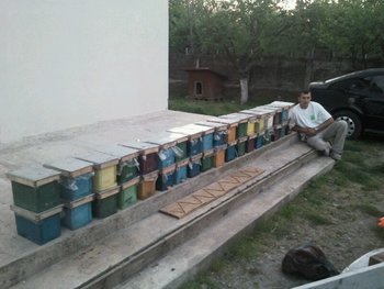 IMG_2013051128882.jpg
