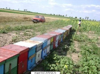 ok_28091.jpg
