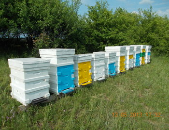 rsz_2picture_022.jpg