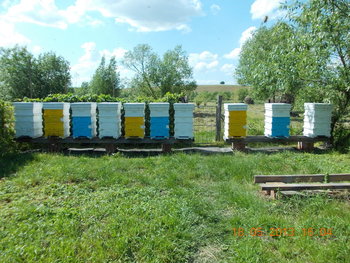 rsz_1picture_020.jpg