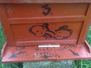23062010275 (Medium).jpg