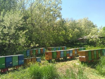 WP_001074.jpg