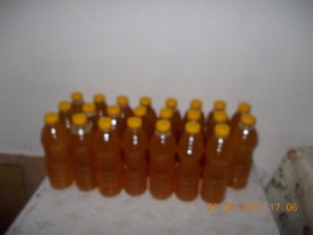 STUPINA LUI FLORINELU 016.JPG