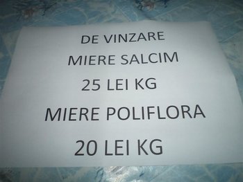 DSC03450 (Medium).JPG