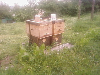 SP_A2222.jpg