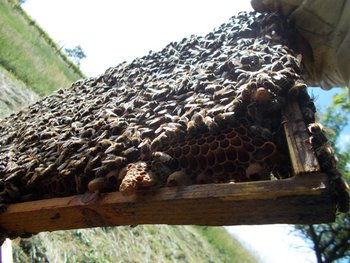 DSCN0082.jpg