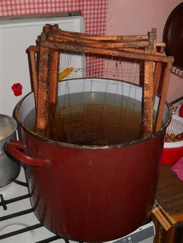 DSCN9071 (Large).JPG