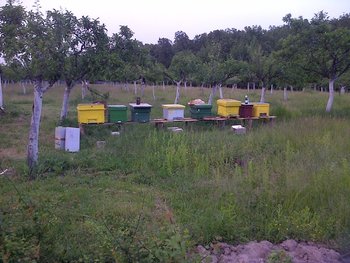 rsz_img-20130529-00240.jpg