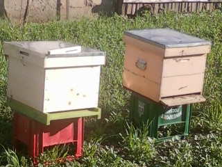 Photo-0137.jpg