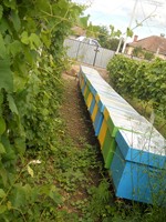 madalin 041 (Copy).jpg