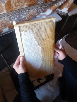 IMG_20130601_101137.jpg