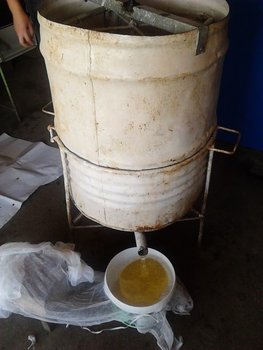 IMG_20130601_110759.jpg