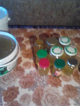 IMG_20130601_205230.jpg