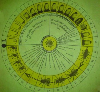 calendar_crester-matci.JPG