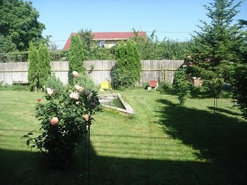 DSC09100.JPG