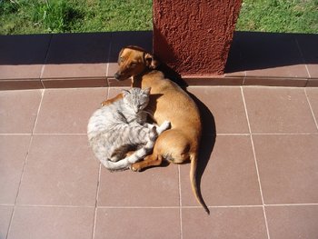 DSC09110.JPG