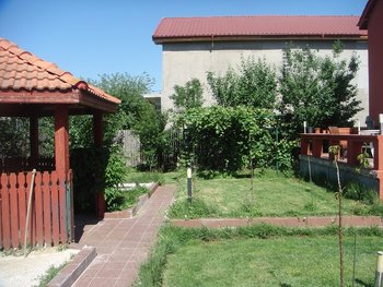 DSC09108.JPG