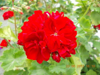 rsz_1picture_022.jpg