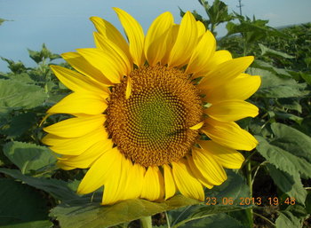 rsz_2picture_002.jpg