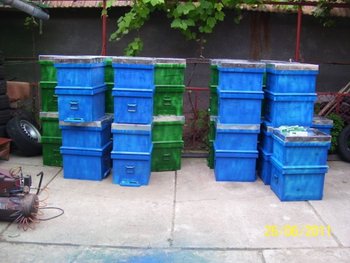 100_6408.jpg