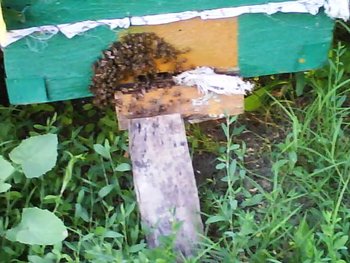 Photo 0278 4.jpg