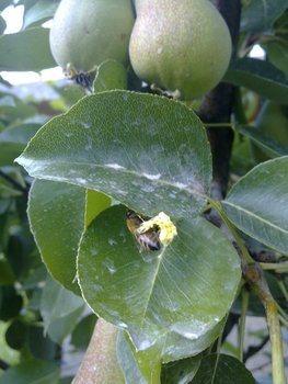 rsz_128062011447.jpg