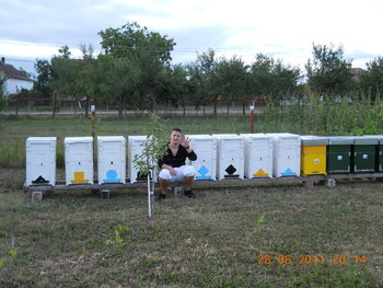 rsz_dscn0955.jpg