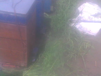 Mar-Apr 2013010.jpg