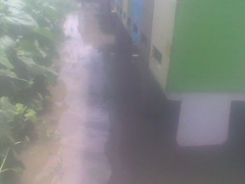 Mar-Apr 2013011.jpg