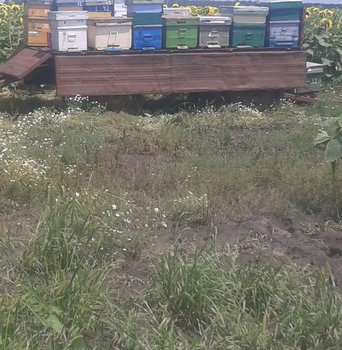 2013-07-03 14.00.14.jpg