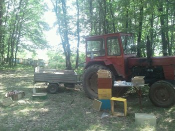 IMG_2013071052774.jpg