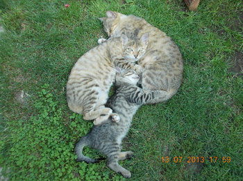 rsz_3picture_010.jpg