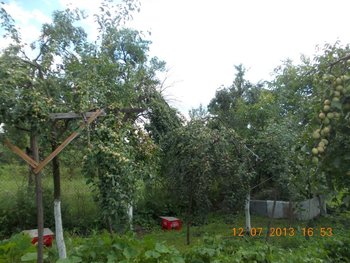 STUPINA LUI FLORINELU 004.JPG