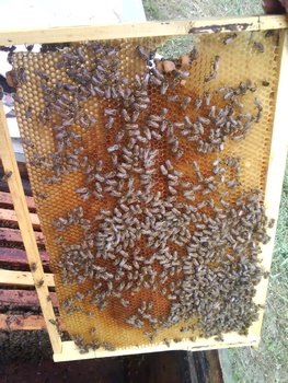 Photo 0592.jpg
