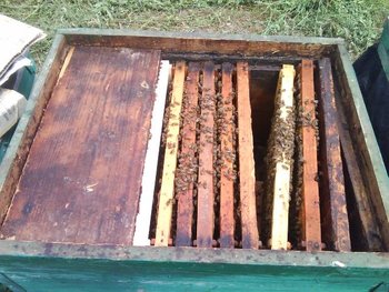 Photo 0596.jpg