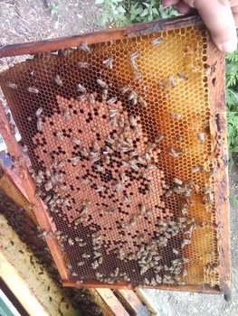 Photo 0610.jpg