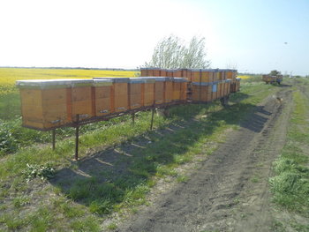 rsz_dsc01655.jpg