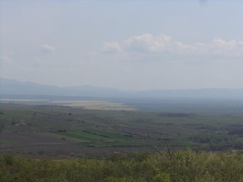 rsz_dsc01669.jpg