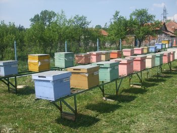 DSCF7207.JPG