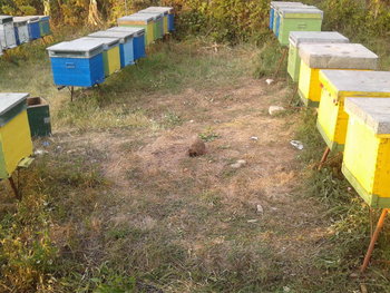 rsz_2012-09-13_184726.jpg