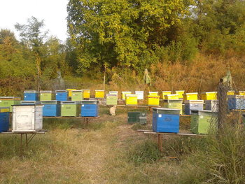 rsz_2012-09-13_184801.jpg